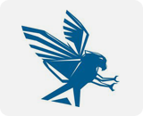 Eagle Web Assets